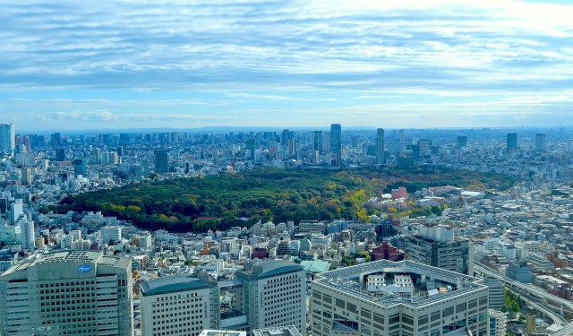 新宿区の主要施設・主要大学