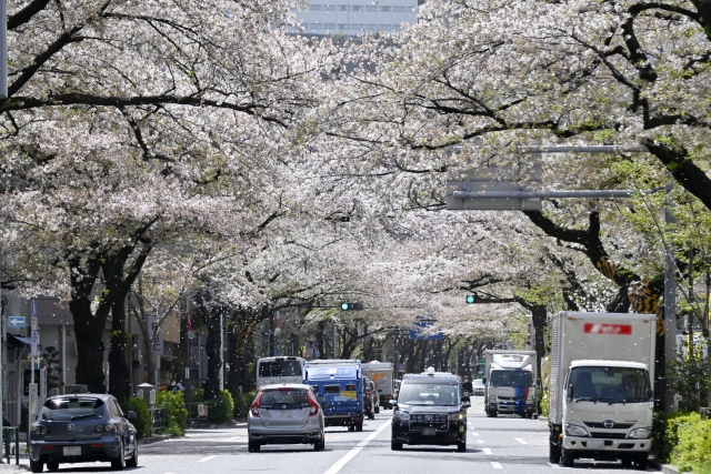 【東京・中野区の狭小地】住宅建築や土地活用で知っておきたいポイント